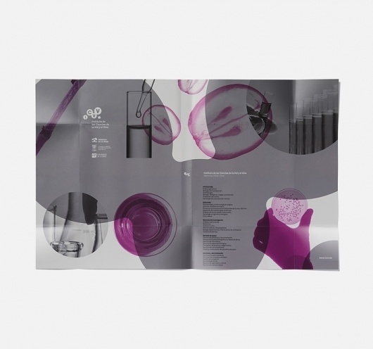 instituto de ciencias de la vid y del vino. destacado. www.moruba.es #wine #spanish #identity #purple #logo