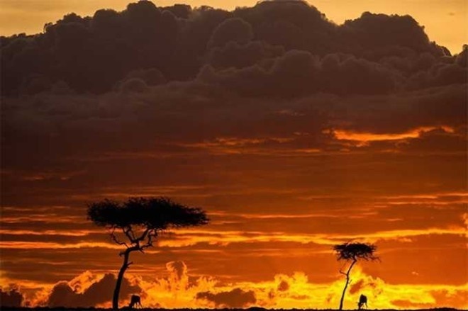 Sunsets in Kenya by Paul Goldstein #inspiration #photography #landscape