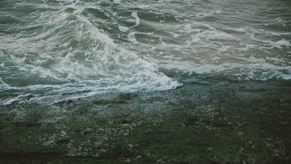 //// #seaside #photography #sea #waves #green