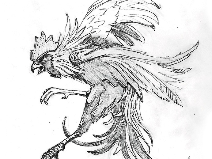 Process sketch - Rooster illustration wip bird rooster drawing illustration process sketch ___ Josh Kulchar