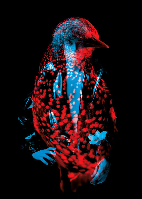 - bêtes de mode : - H E L M O - #two face #human #animal