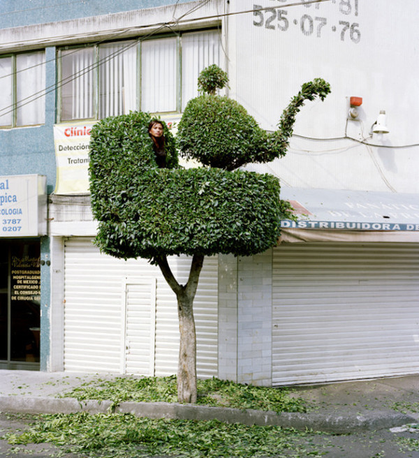 Miradors by Erwan Fichou #inspration #photography #art