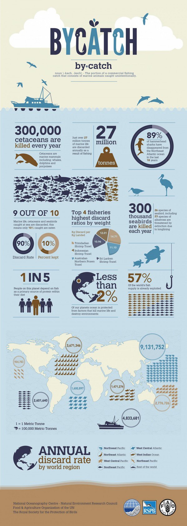 How that shrimp you're eating may have killed a whale