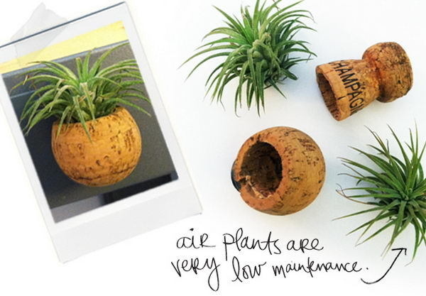 Homemade Wine Cork Crafts #cork #diy #wine
