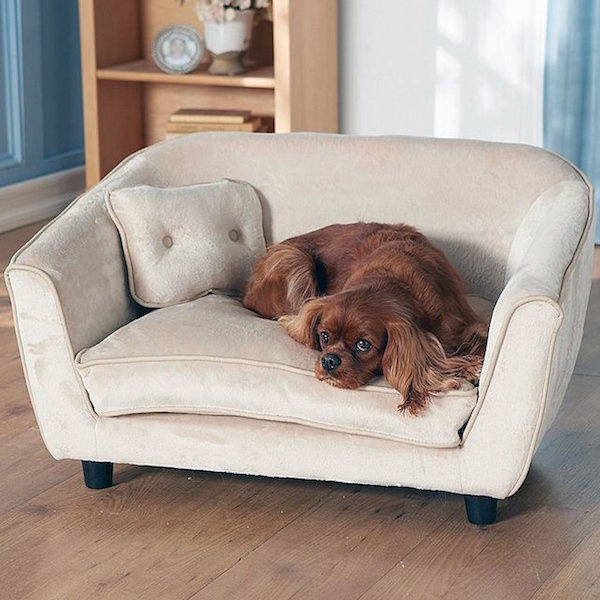 Astro Pet Bed by Enchanted Home #tech #flow #gadget #gift #ideas #cool