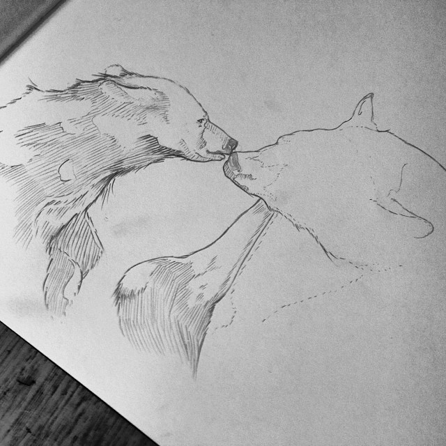 Pencil, Sketch, Illustration, Bear, Micheal Hanly