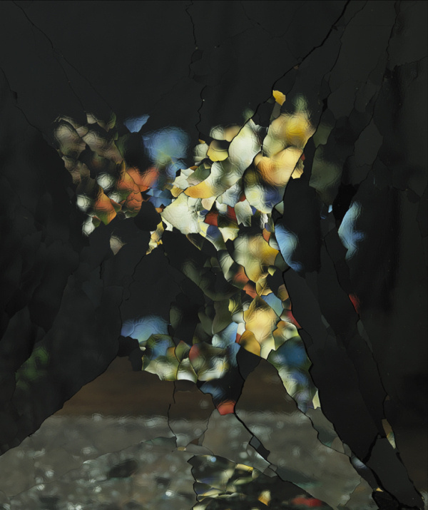 Ori Gersht | PICDIT