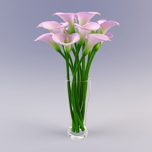 M O O D #photography #flowers