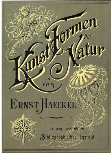 Screen+shot+2011-04-04+at+9.21.37+AM.png (PNG Image, 472x645 pixels) #cover #vintage #book