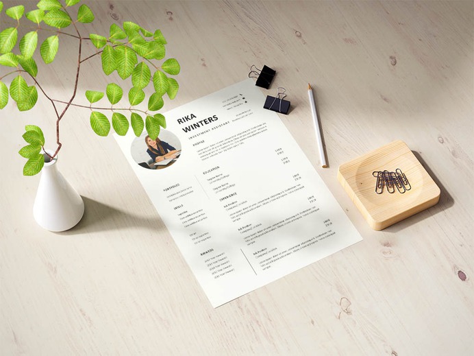 Free Investment Assistant Resume Template with Example for Job Seeker