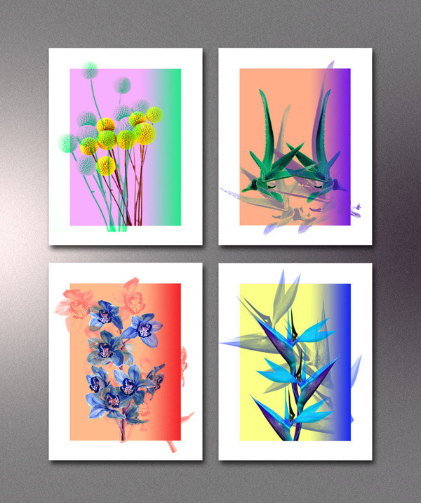 AA exhibition on Behance #poster
