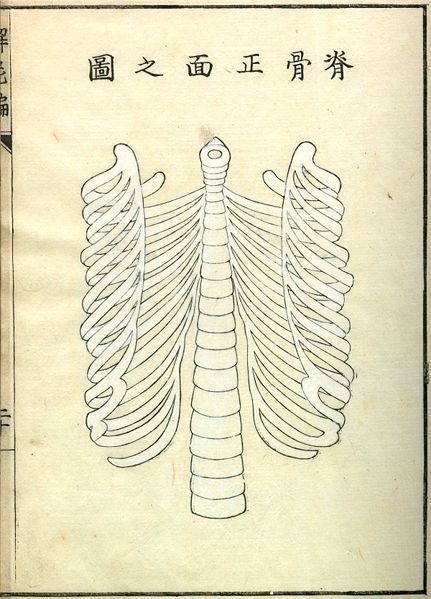 Kaishi Hen, an 18th Century Japanese anatomical atlas | The Public Domain Review #anatomy #japan