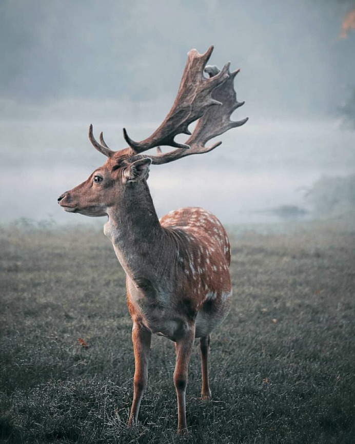 Beautiful and Extraordinary Outdoor Photography by Karen Heslinga