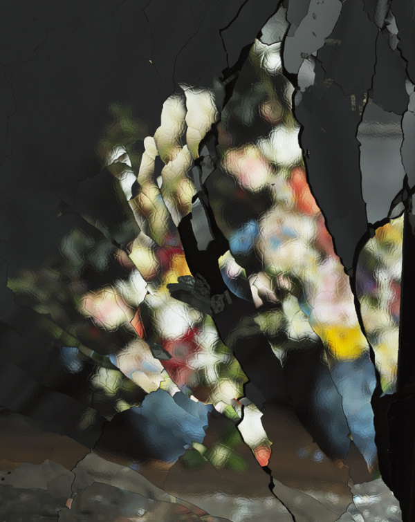 Ori Gersht | PICDIT #photo #design #photography #art #flower