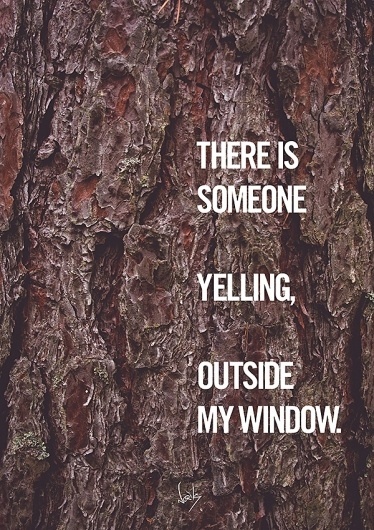 Typcut #typcut #norik #photography #yelling #typography