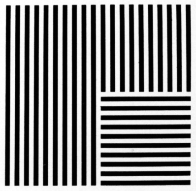photo #lines