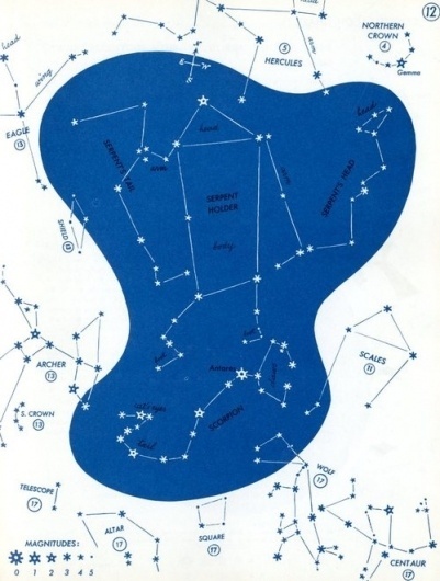 Freaky Fauna's Tumblr - From The Stars: A New Way To See Them by H.A.Rey... #illustration #stars #astronomy