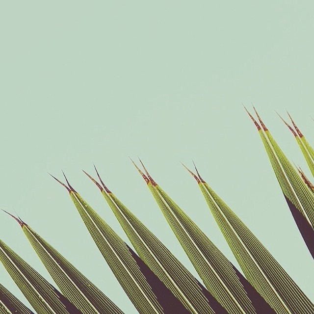 Split ends #photo