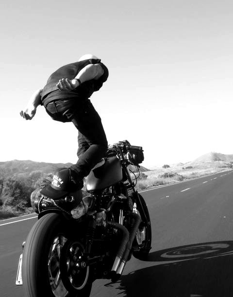 The Wing Beneath My Wings #road #motorcycle