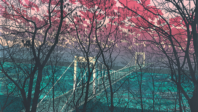 Picture #illustration