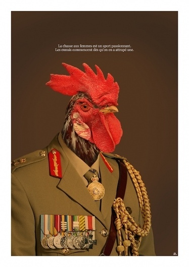 Tableau de chasse on the Behance Network #tableau #chasse #de