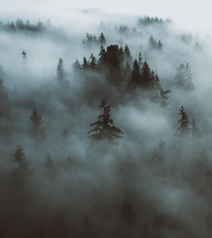 Spectacular Adventure and Outdoor Photography by Forrest Mankins