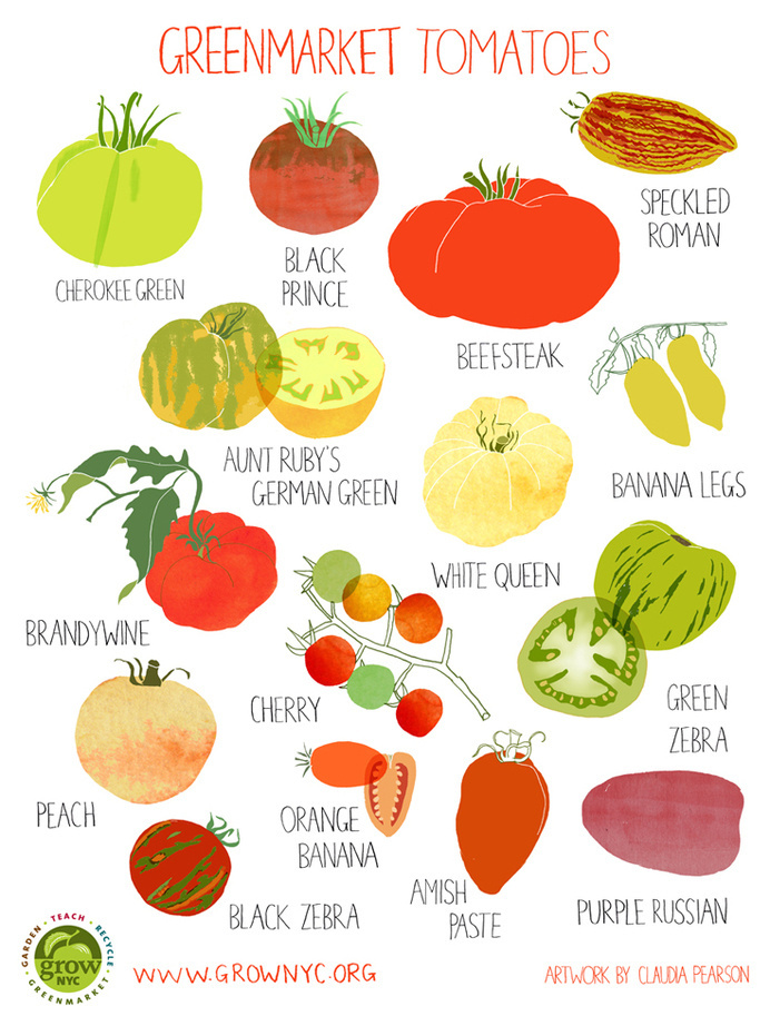 Grow NYC Tomatoes Poster #claudia #pearson