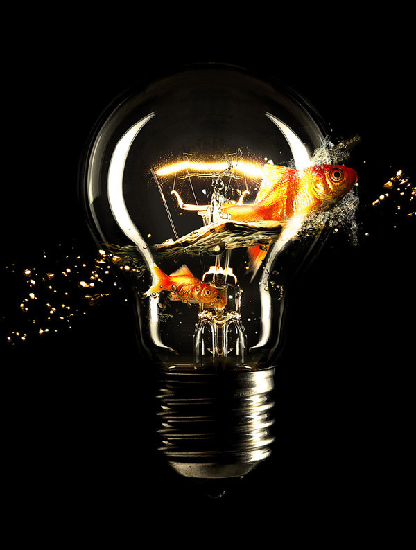 Light Fish #lamp #marinelli #fish #rodrigo #gold #surreal #wallpaper #light