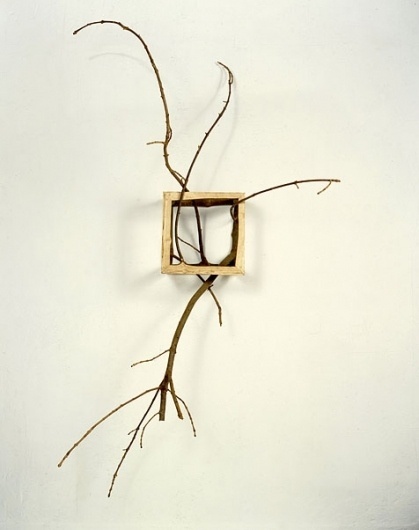 ArtPropelled | David Nash #nash #sculpture #david