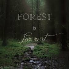 Image result for wild woman sisterhood