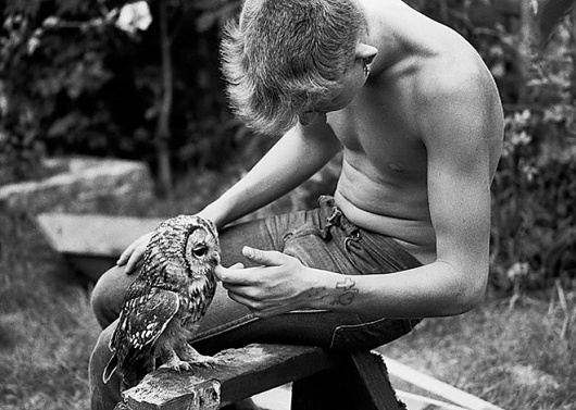 T2ez2.jpg (660×470) #white #owl #boy #black #watson #photography #gavin #and