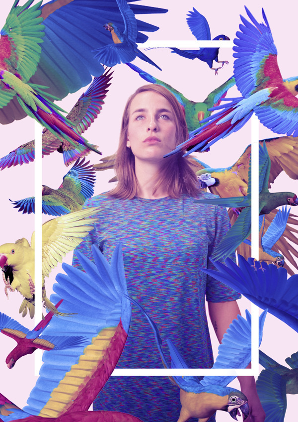 Queens on Behance by Quentin Deronzier #tropical #deronzier #photo #birds #colors #parrot #quentin