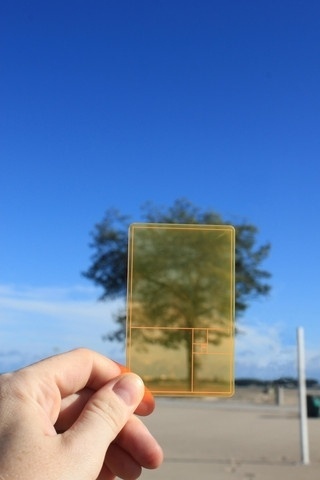 Google Image Result for http://cdn.shopify.com/s/files/1/0089/0382/products/goldensectioncard_tree_large.jpg%3F2927 #golden section