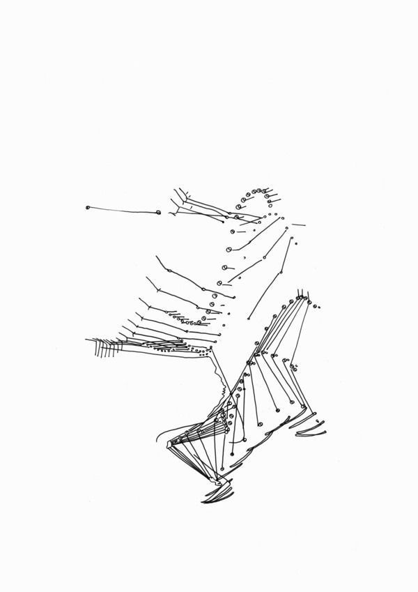 Buamai Portraits On Drawing Served #movement #body