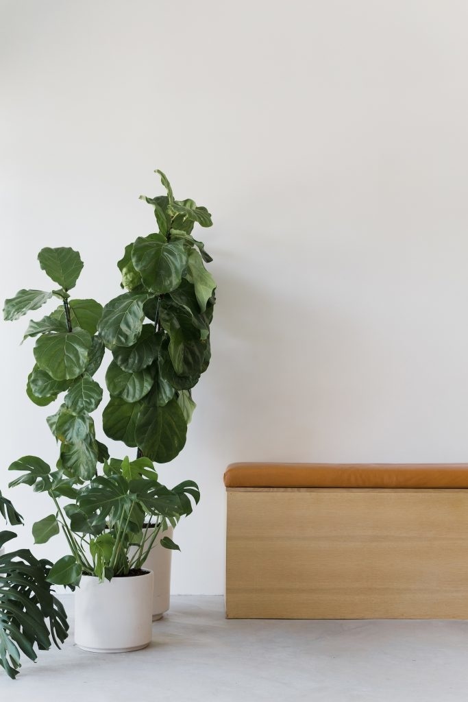kinfolk_web2016_formerlyyes_03