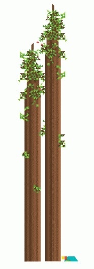 Redwoods - Always With Honor #redwood #camping #camp #geometric #vibes #trees