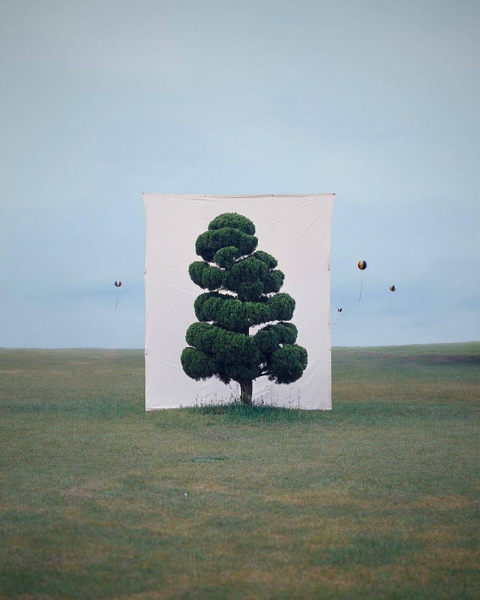 Framed Trees in South Korea by Myoung Ho Lee