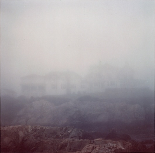 Mikael Kennedy #photography #nature