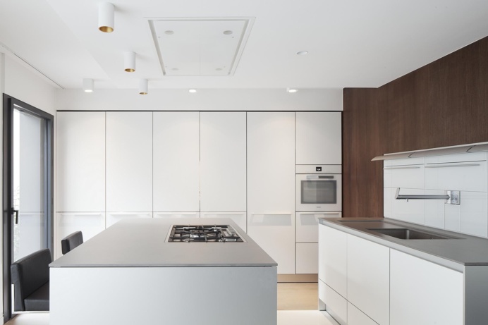 Apartment Renovation in Paris IV