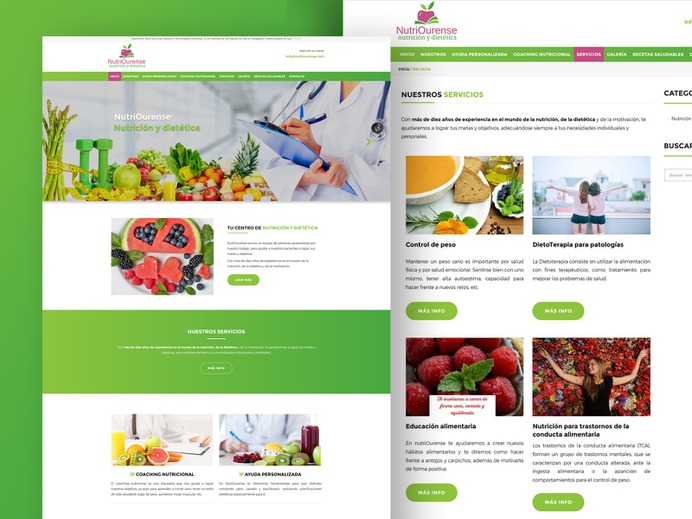 Diseño web empresa de dietética y nutrición code responsive design web developer ui ux páginas web interface html css website web user interface html 5 freelance developer designer web design company web design agency diseño web design web design