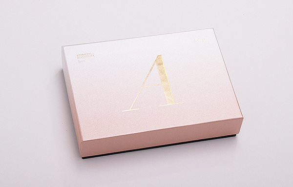 Project Charisma Full Version on Behance #box