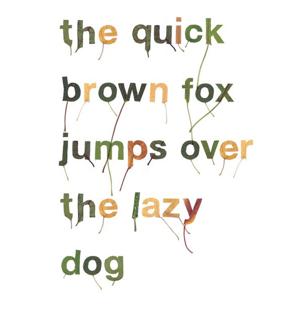 leaf alphabet | iGNANT #leaf #typography