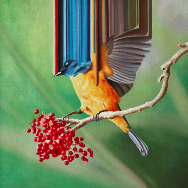 Maurizio Bongiovanni | PICDIT