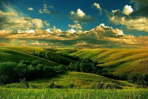 Photography by Jillian Anderson | Photography Blog #photography