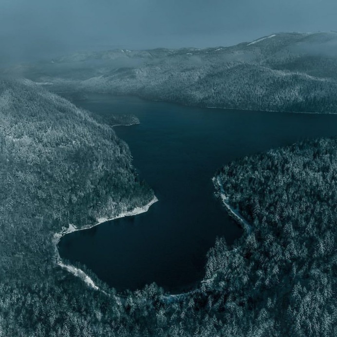 Breathtaking Moody and Mysterious Forest Photography by Dylan Furst