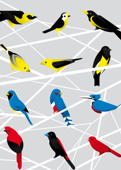 Andy Tomlinson — Senior Designer at Bite #birds