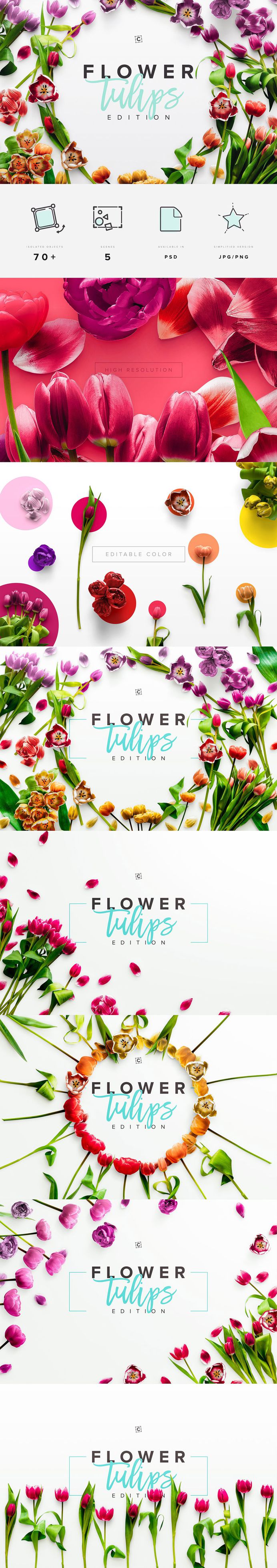 Flower Tulips Edition – Custom Scene