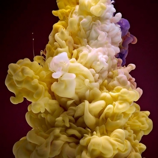 but does it float #yellow #photography #water #ink