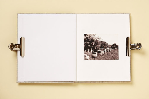 NoBeesNoLife_690px_2 #print
