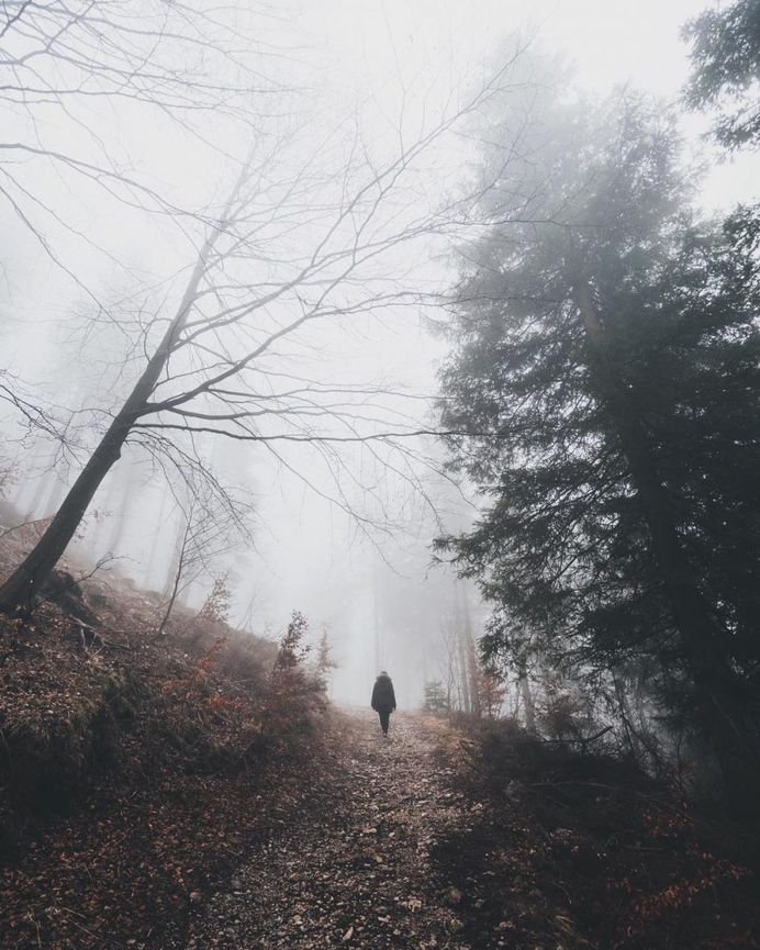 Moody Mountains and Foggy Forests: Adventures by Alessio Lin